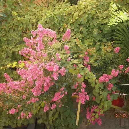 Lägenhet Sea And Sun *