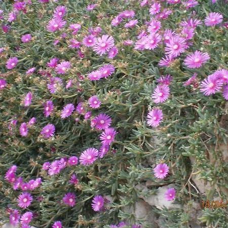 Sea And Sun Апартаменты *