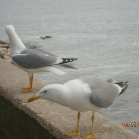 Sea And Sun Апартаменты