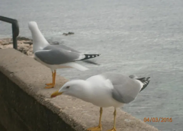 Sea And Sun Apartmán